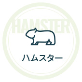 HAMSTER